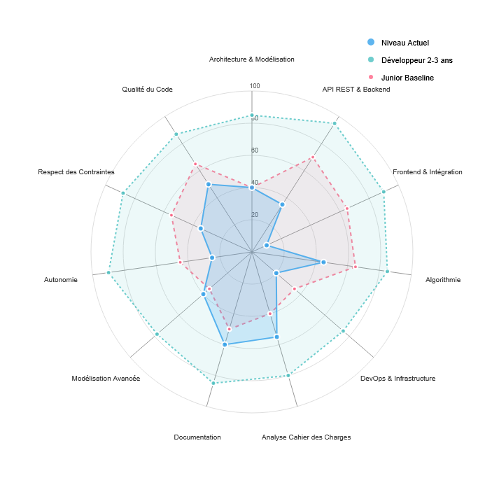 Radar Chart des Compétences